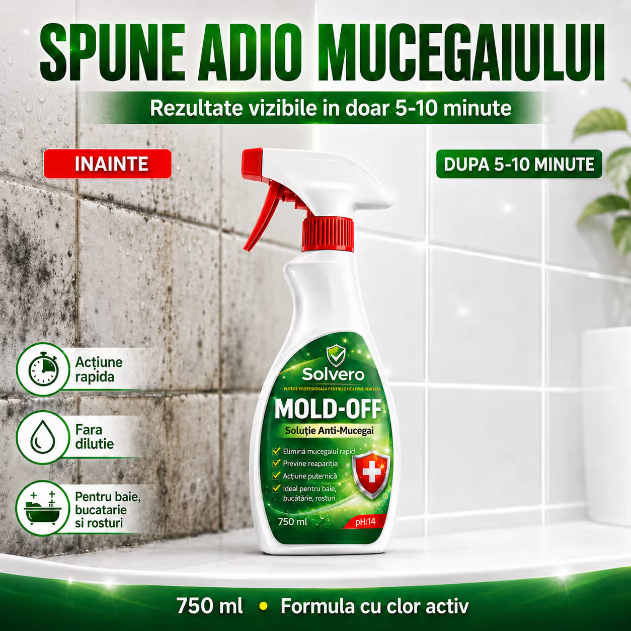 Soluție Antimucegai Spray 750 ml