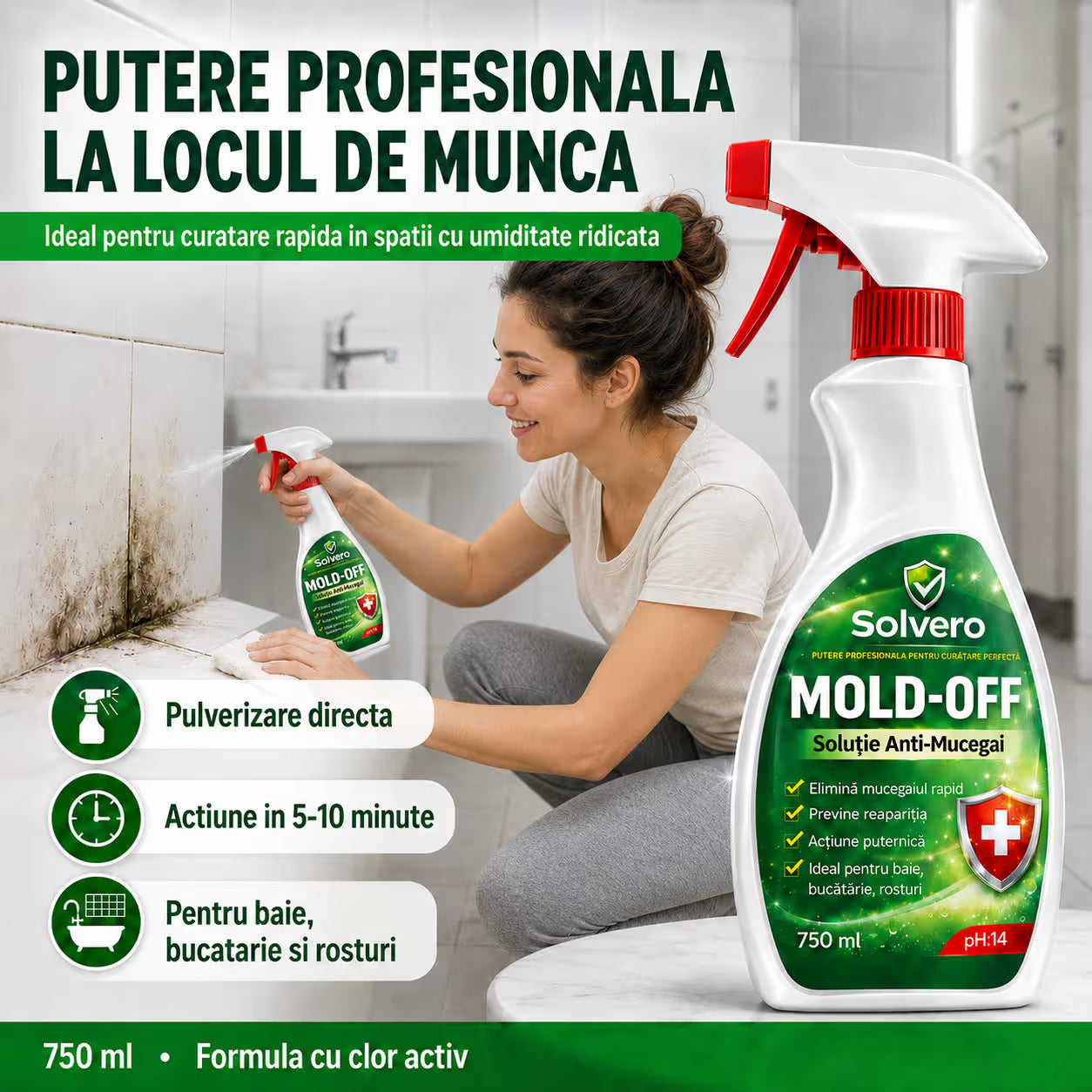 Soluție Antimucegai Spray 750 ml
