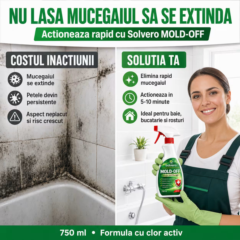 Soluție Antimucegai Spray 750 ml