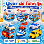 Miniatură 4