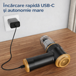 Miniatură 6