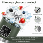 Miniatură 4